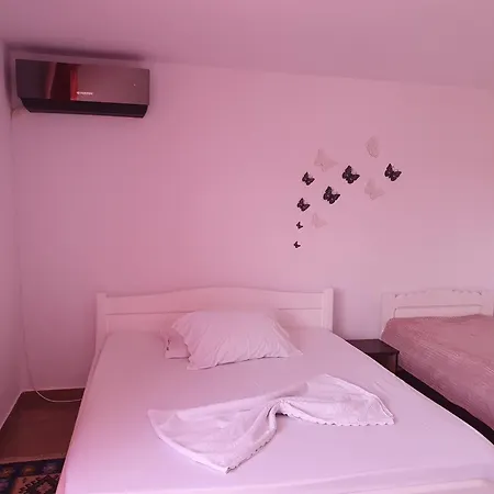 De Inchiriat Alex Costineşti