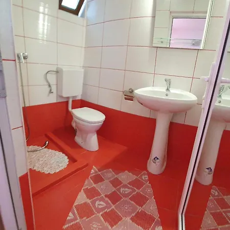 De Inchiriat Alex Homestay *