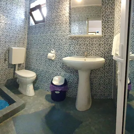 Homestay De Inchiriat Alex Costinesti