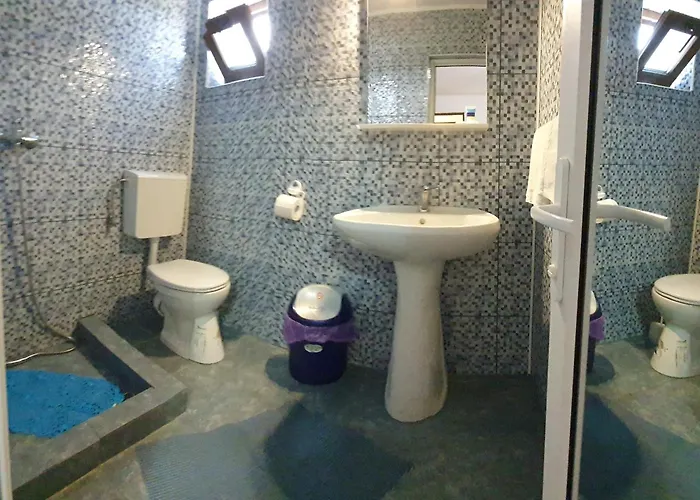 Проживание в семье De Inchiriat Alex Костинешти